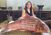Ngắm lại 7 “quái ngư” khổng lồ “bơi” từ Campuchia về Việt Nam
