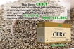 Thảo dược CERY (trà Celery) mua ở đâu uy tín chất lượng
