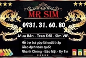 Sim số đẹp giá rẻ