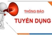 TUYỂN NGƯỜI CHĂM EM , PHỤ VIỆC NHÀ